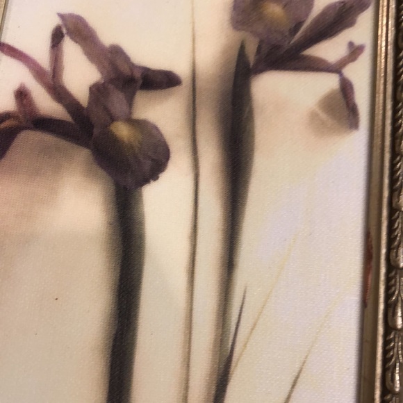 π¦Framed Flower Canvas Prints - Picture 8 of 8